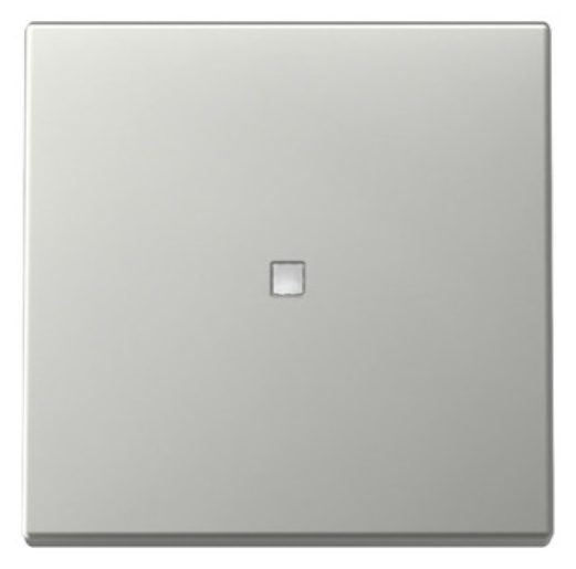 1St. Gira 3290600 Wippe Kontrollfenster System 55 edelstahl (lackiert)