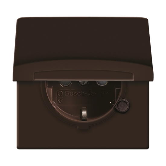 1St. Busch-Jaeger 20 EUGKB-31-101 Steckdosen-Einsatz, mit Klappdeckel Allwetter 44 (IP 44) Braun