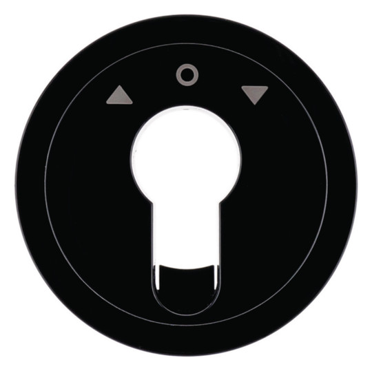 1St. Berker 15062045 Zentralstück für Jalousie-Schlüsselschalter/Schlüsseltaster, R.1/R.3, schw. gl.