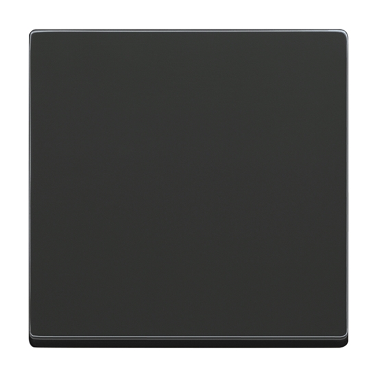 1St. Busch-Jaeger 1786-81 Wippe für Wechselschalter Busch-dynasty anthrazit