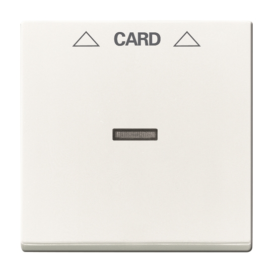 1St. Busch-Jaeger 1792-84 Zentralscheibe carat studioweiß