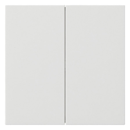 1St. Gira 5370112 Wippe 2f unbedruckt Flächenschalter Rein