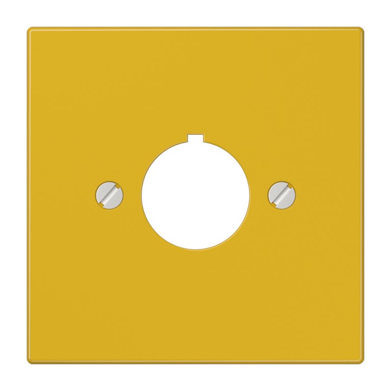 1St. Jung LS964GE Abdeckung Tragring Schraubbefestigung für Befehlsgeräte mit 22 5 mm d= gelb LS 964 GE