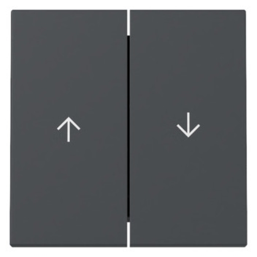 1St. Gira 329428 Wippe 2-fach Pfeil System 55 anthrazit