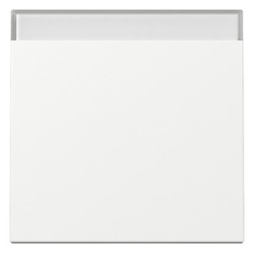 1St. Gira 329903 Wippe BSF System 55 reinweiß glänzend