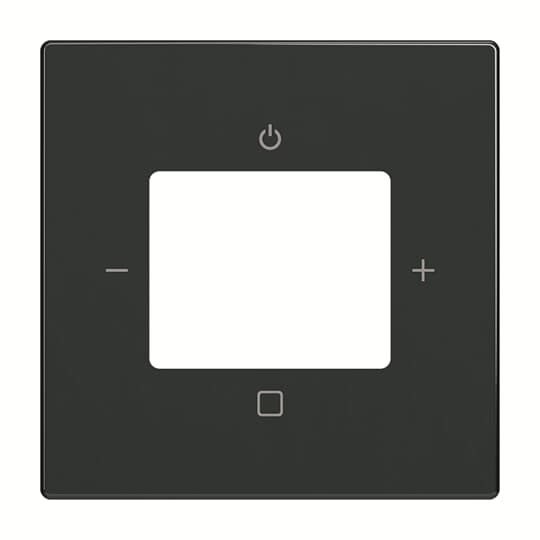 1St. Busch-Jaeger 8252-81-101 Zentralscheibe anthrazit für Busch-Radio DAB+ 2CKA008200A0248