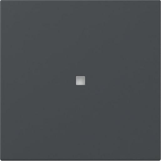 1St. Gira 349028 Wippe gerade Kontrollfenster System 55 anthrazit