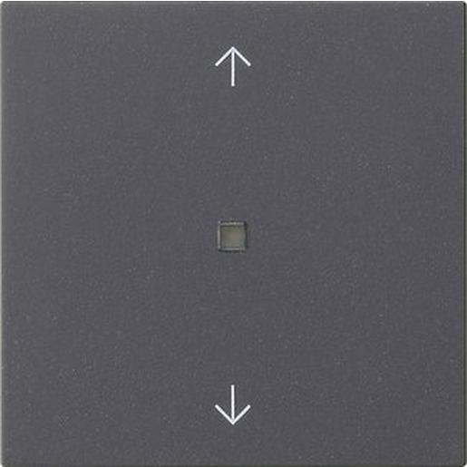 1St. Gira 538828 Wippe 1f Pfeile Kontrollf. System 55