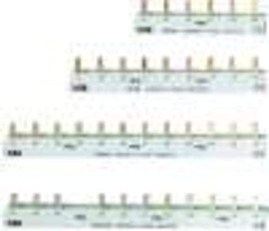 1St. ABB PS4/12 2CDL240101R1012 Phasenschienea 4Ph., 12Pins, 10qmm 1St. ABB PS4/12 2CDL240101R1012 Phasenschienea 4Ph., 12Pins, 10qmm