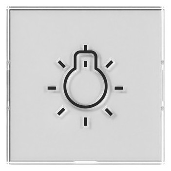 1St. Gira 321600 Wippe BSF + Symb. Licht groß tastbar