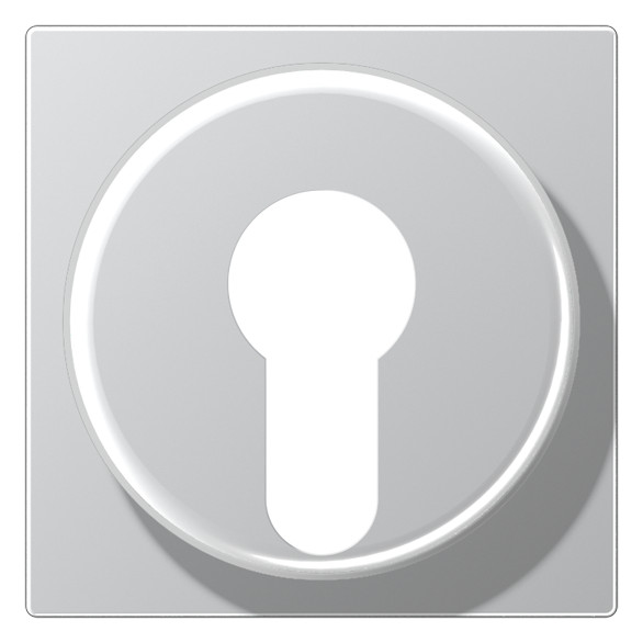 1St. Jung A 528 PL AL Abdeckung für Schlüsselschalter mit Demo