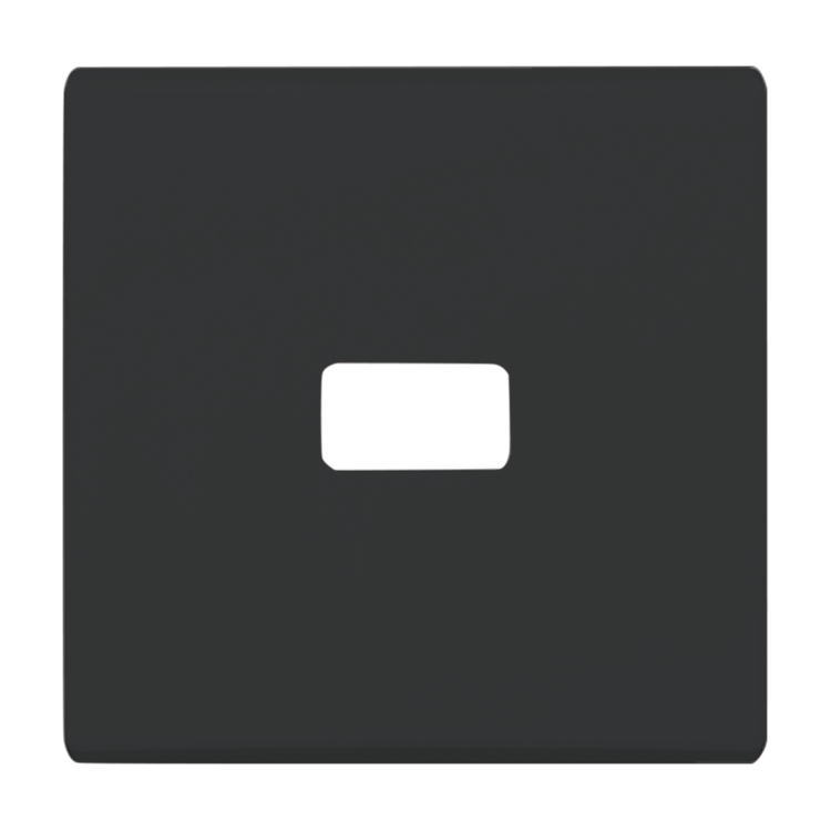 1St. Busch-Jaeger 2120-35 Wippe, offen für Symbol Allwetter 44 (IP 44) anthrazit 1St. Busch-Jaeger 2120-35 Wippe, offen für Symbol Allwetter 44 (IP 44) anthrazit