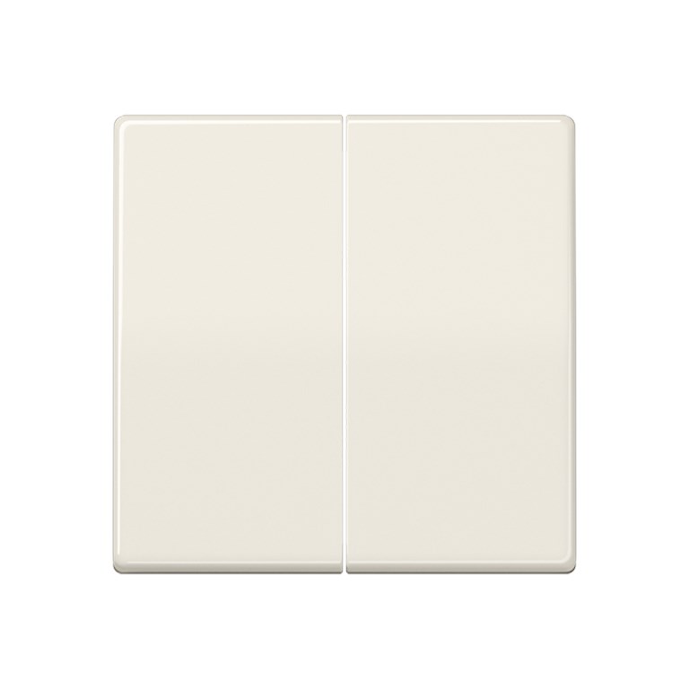 1St. Jung AS591-5 Wippe Zentralplatte für Serien-Wippschalter Serien-Tastsch. Doppel-Wechsel-Wippsch. Doppel-Wechsel-Tas