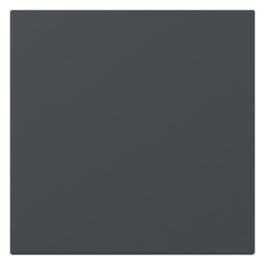 1St. Gira 349628 Wippe gerade Kontrollfenster System 55 anthrazit