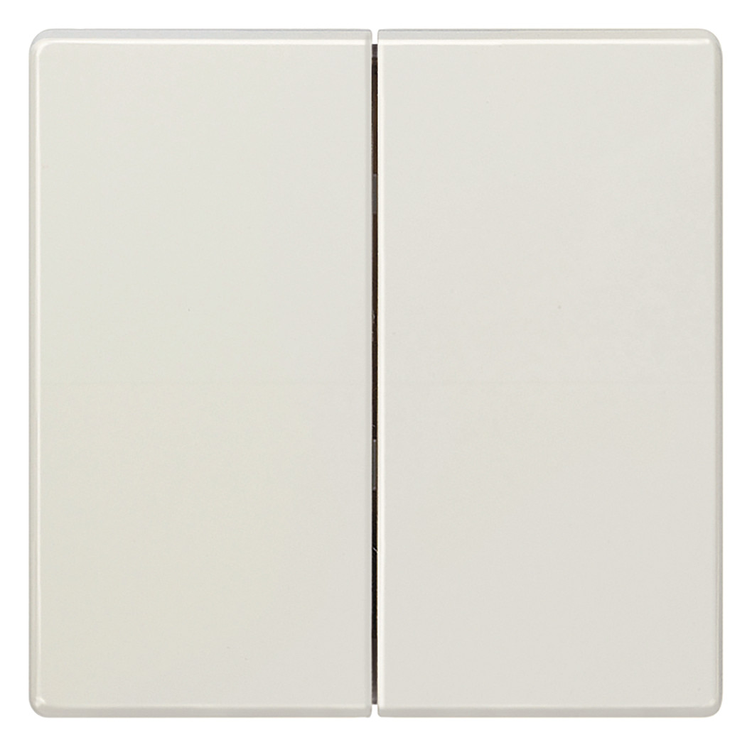 1St. Siemens 5TG7145 DELTA style Wippe für Serien/Doppelschalter titanweiß