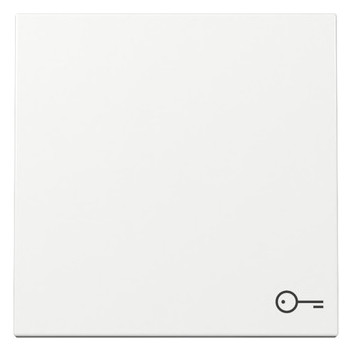 1St. Gira 328703 Wippe Symbol Tür System 55 reinweiß glänzend