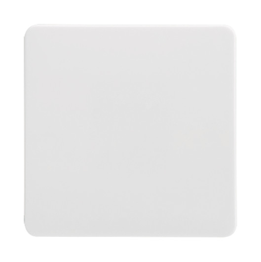 1St. Elso 213604 Wippe Universal-,-Kreuzschalter/Taster FASHION/RIVA/SCALA reinweiß...