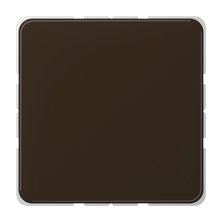 1St. Jung CD594-0BR Blind-Abdeckung Tragring CD 594-0 BR