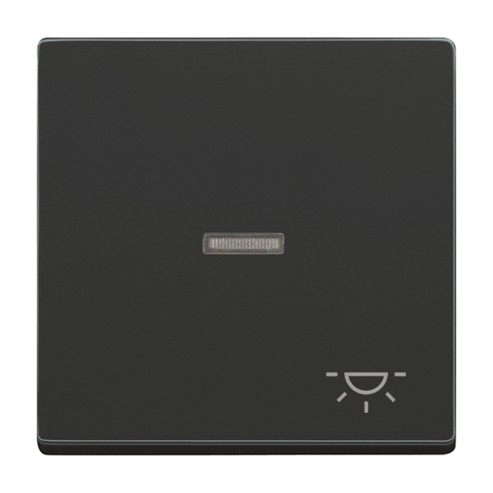 1St. Busch-Jaeger 1789 LI-81 Wippe mit Aufdruck Licht, mit kleiner transparenter Kalotte Busch-dynasty anthrazit