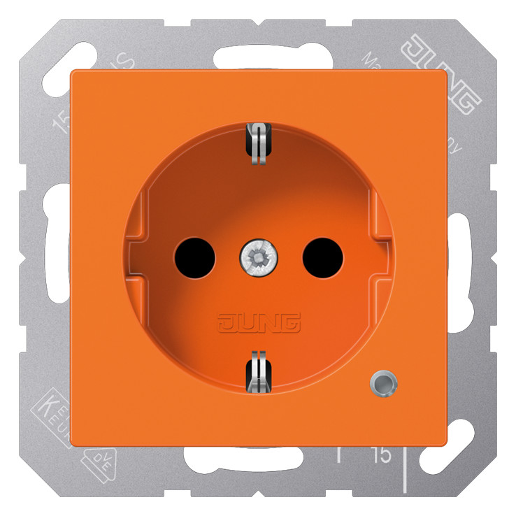 1St. Jung A1520BFKOO Steckdose m. Funktionsanz.