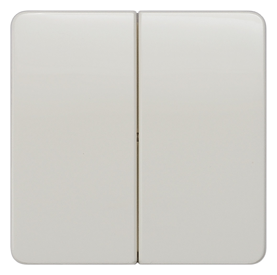 1St. Siemens 5TG7805 DELTA profil Wippe 2-fach neutral 65x65mm titanweiss