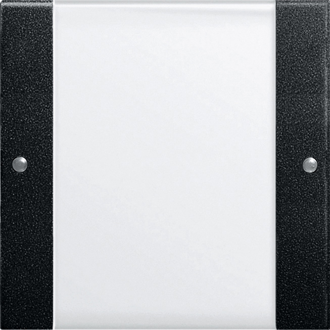 1St. Gira 2131005 Wippenset 1f BSF System 55 Klar/Schwarz m