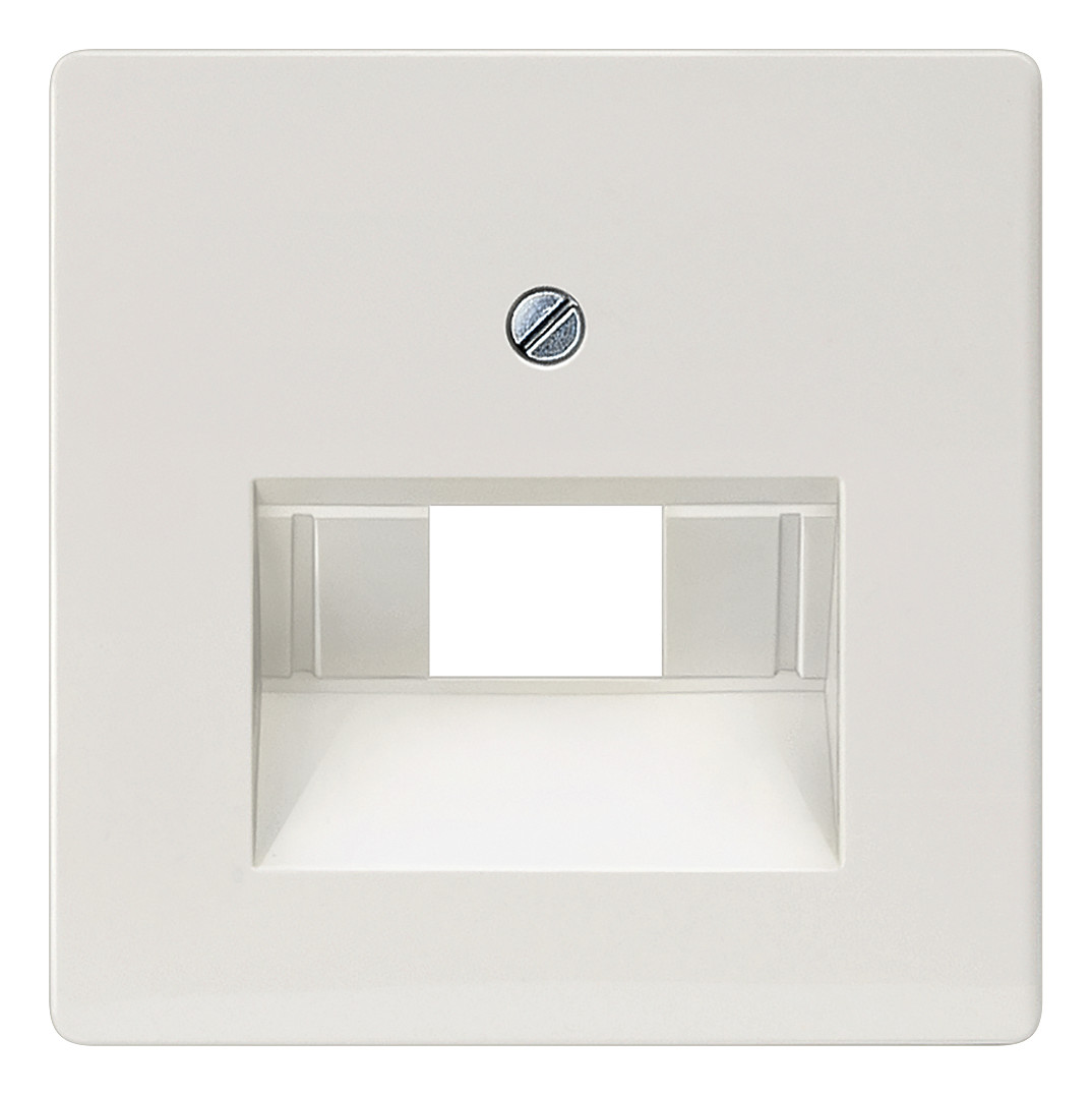 1St. Siemens 5TG2545 DELTA i-system Abdeckplatte UAE-Anschlus