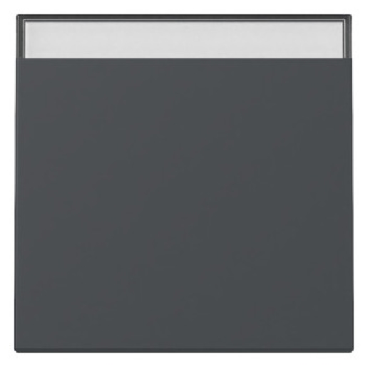 1St. Gira 329928 Wippe BSF System 55 anthrazit