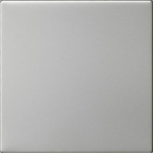 1St. Gira 5372600 Wippe 1f unbedruckt System 55 Edelstahl