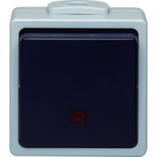 1St. Aus-/Wechselschalter beleuchtet FR AP IP54 Aus-Wechselschalter mit Beleuchtung 10A 250V