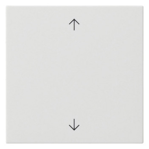 1St. Gira Wippe 1f Pfeile System 55 538903 Reinweiß