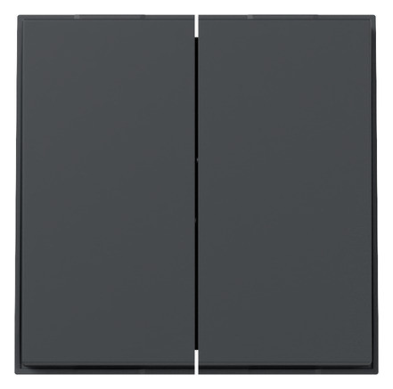 1St. Gira 349567 Wippe 2-fach gerade Gira TX_44 anthrazit