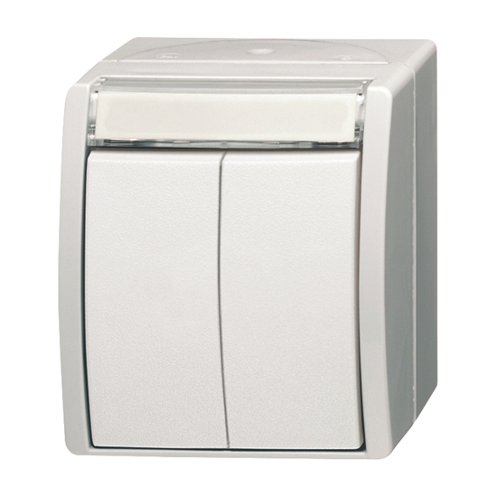 1St. Busch-Jaeger 2621 WN-54-205-101 Doppeltaster/Serientaster, 2 Schließer, 1-polig (Arbeitsstrom) ocean (IP 44) alpinw