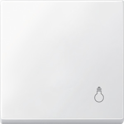 1St. Merten MEG3302-0419 Wippe mit Kennzeichnung Licht, polarweiß MEG3302-0419