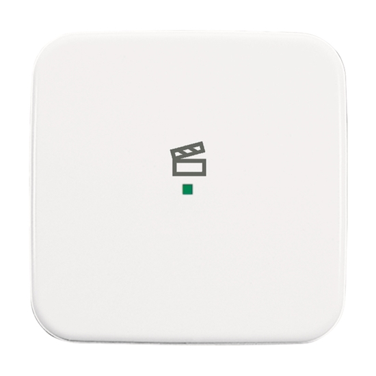 1St. Busch-Jaeger 6233-10-214 Wippe, 1-fach, mit Symbol Szene Busch-free@home alpinweiß