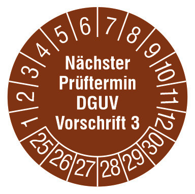 1St. Protec.class PPNPDGUVV32025 PPNPDGUVV32025 Naechster Termin DGUV V3