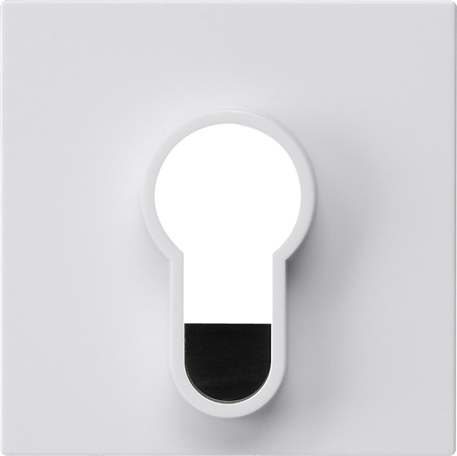 1St. Gira 866403 Abd.Schlüsselschalter/-taster o.Aufdruck System 55 Reinweiß