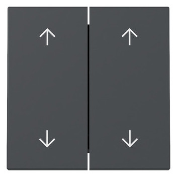 1St. Gira 329728 Wippe 2-fach Pfeile System 55 anthrazit