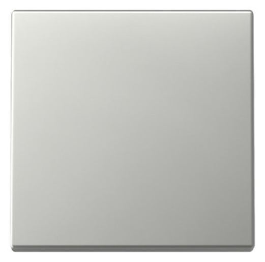 1St. Gira 3296600 Wippe System 55 edelstahl (lackiert)