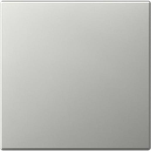 1St. Gira 3496600 Wippe gerade System 55 edelstahl (lackiert)