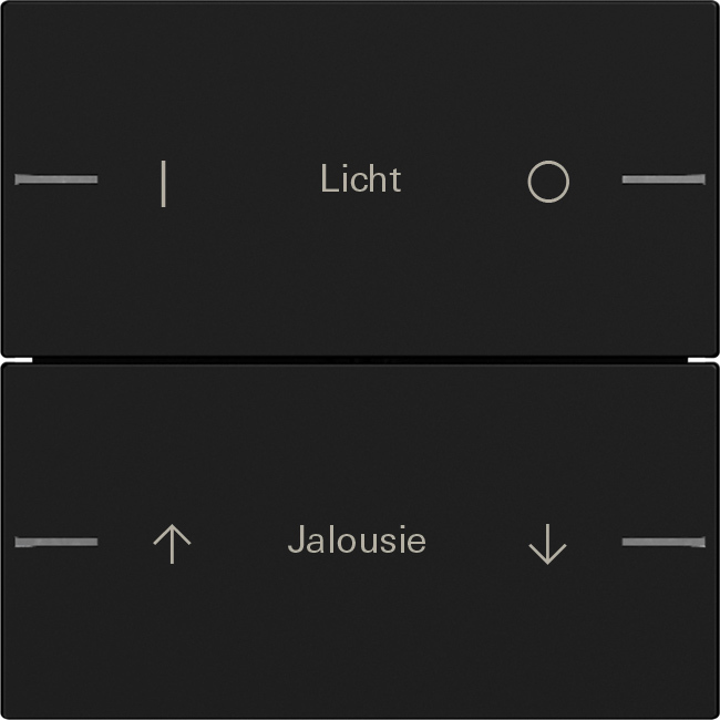 1St. Gira 5762005 Wippenset 2fach individuell für Tastsensor 4, Schwarz matt