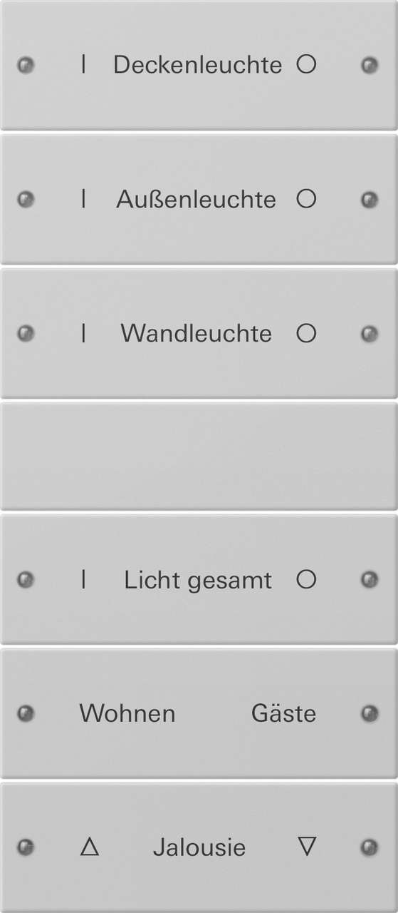 1St. Gira 2206015 Wippenset 6f (3+3) beschr. System 55 Grau m(lack.)