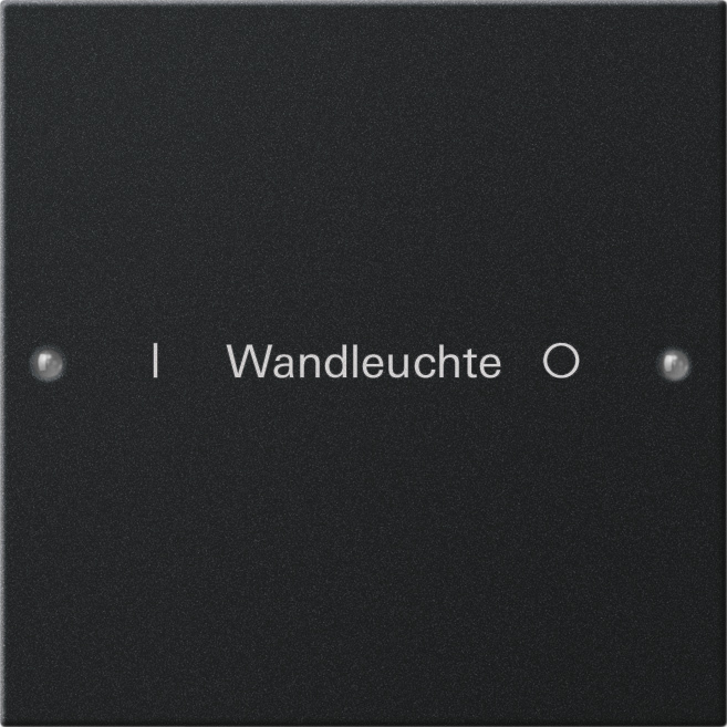 1St. Gira 2201005 Wippenset 1f beschr. System 55 Schwarz m(lack.)