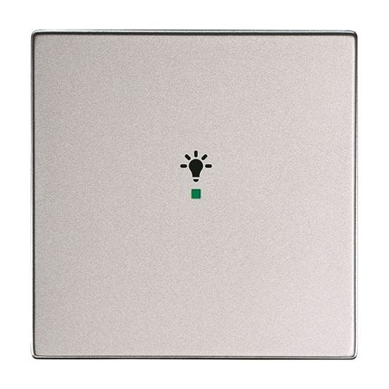 1St. Busch-Jaeger 6231-10-83 Wippe, 1-fach, mit Symbol Licht Busch-free@home alusilber