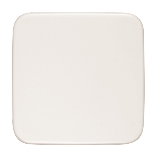 1St. Busch-Jaeger 1576 C-214 Blindzentralscheibe Reflex SI alpinweiß