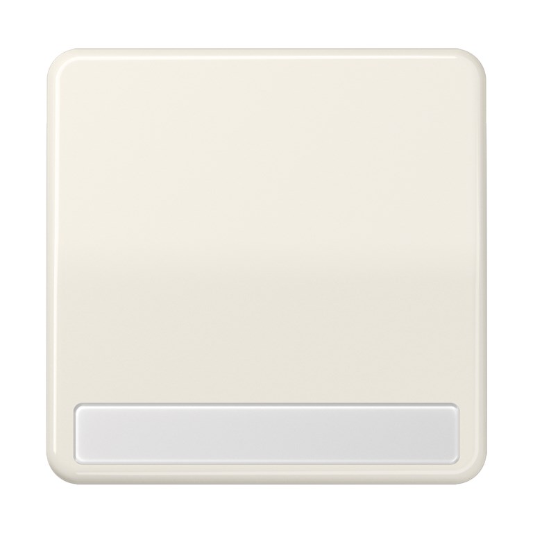 1St. Jung CD590NA Wippe Schriftfeld für Wippschalter Tastschalter Taster und Taster BA 1fach CD 590 NA