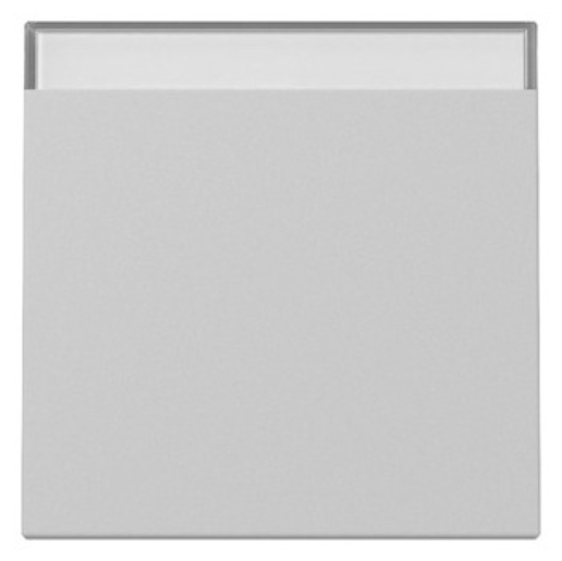 1St. Gira 3299015 Wippe BSF System 55 grau matt