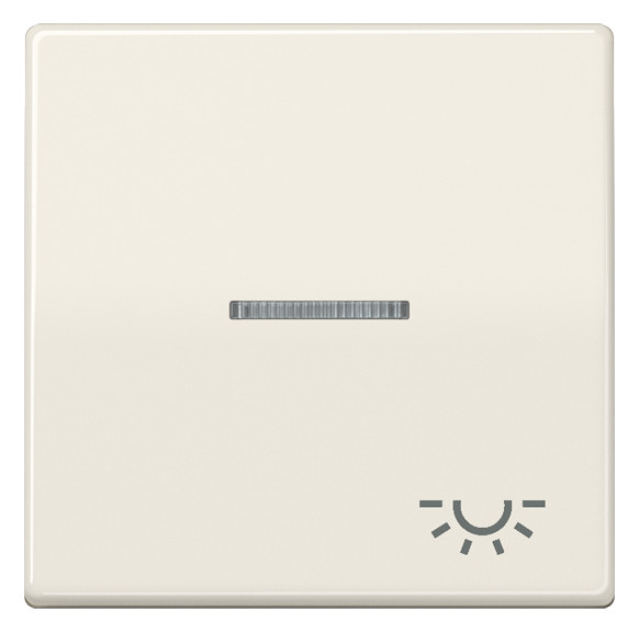 1St. Jung AS591KO5L Wippe Symbol Licht Linse Lichtleiter Zentralplatte für beleuchtbare Taster AS 591 KO5L