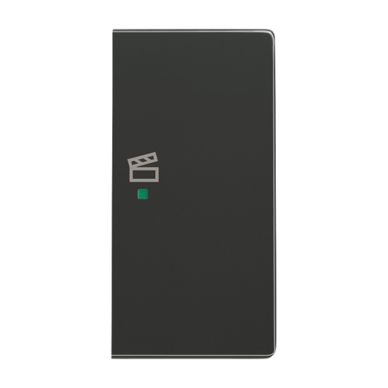 1St. Busch-Jaeger 6233-22-81 Wippe, 2-fach rechts, mit Symbol Szene Busch-free@home anthrazit