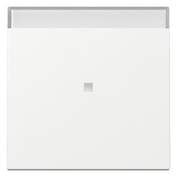 1St. Gira 367003 Wippe Kontrollfenster + BSF System 55 reinweiß glänzend